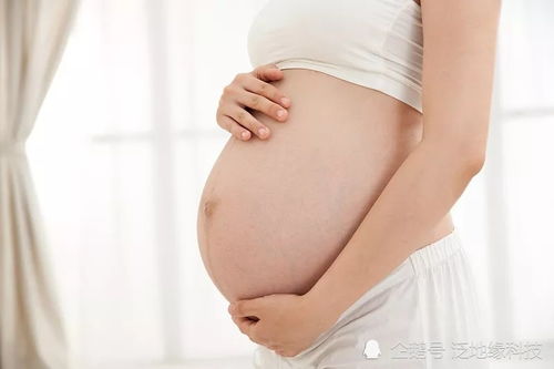怀孕期间营养搭配