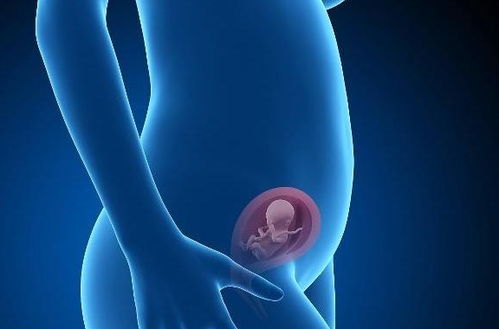 孕期吃核桃对胎儿有什么效果