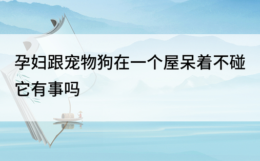 孕妇跟宠物狗在一个屋呆着不碰它有事吗