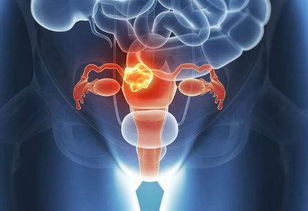 卵巢储备能力检查