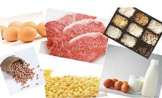 孕期蛋白质需求与食物来源