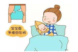 母乳喂养期间的体重管理是什么