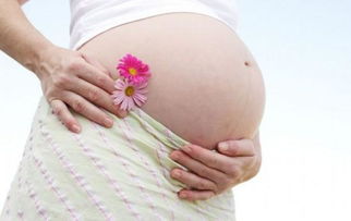 遗传病怀孕几个月能查出性别