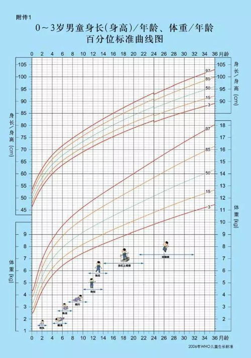 母乳宝宝身高体重标准表