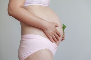 孕期蛋白质补充多了对胎儿有影响吗