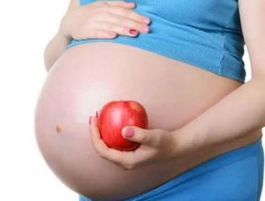 怀孕蛋白质食物