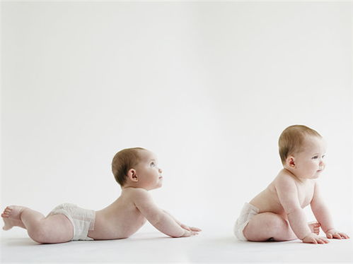 婴儿的大运动发育是他们身体发育的重要部分，包括抬头、翻身、坐、爬、站等