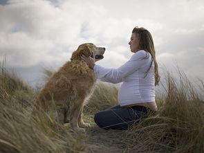 怀孕能养宠物狗吗?