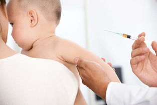 婴儿接种疫苗需要注意什么