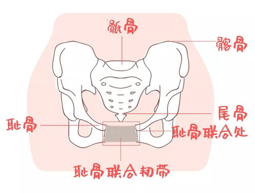 产后骨盆修复是骗局吗