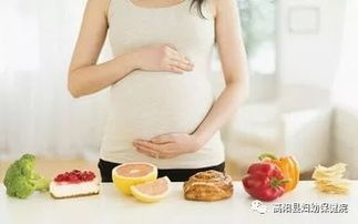 孕期营养的意义与特点