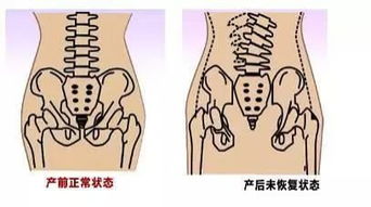 产后的营养需求