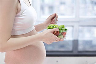 孕妇晚期吃什么好消化又有营养