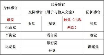 感官教育的局限性表现在哪里