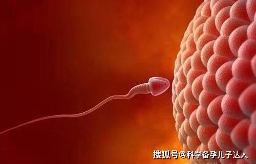 男性备孕的精液分析