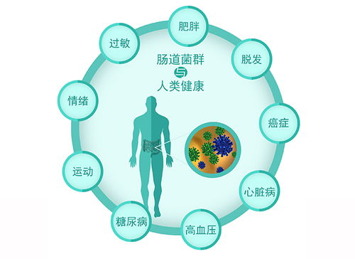 改善肠道菌群失调改善对策