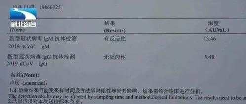 备孕抗体检查哪几项不准